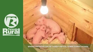 Miniatura do vídeo