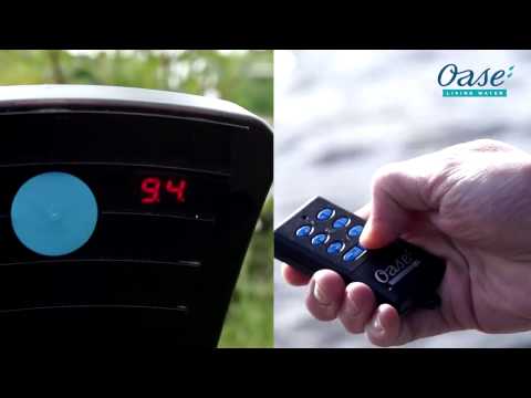 Watch Video on YouTube