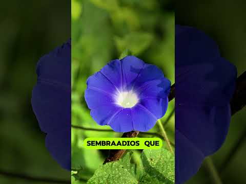 Postales de Caminata San Esteban Catarina-Laguna Bruja