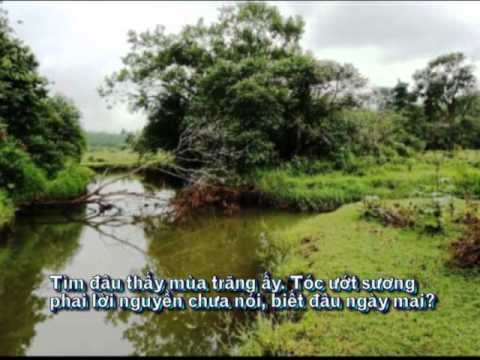 Chào những bạc lòng Sheet - Quốc Duy