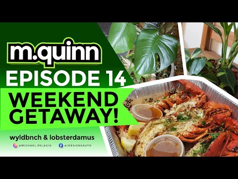 Weekend getaway - Los Angeles (Wyldbench and Lobsterdamus)