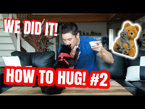 TEACH YOUR CAT HOW TO HUG #2