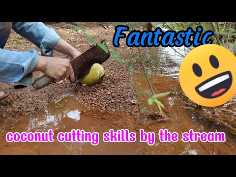 relaxing coconut cutting skills next to small stream, fantastic coconut peeling on sunny day