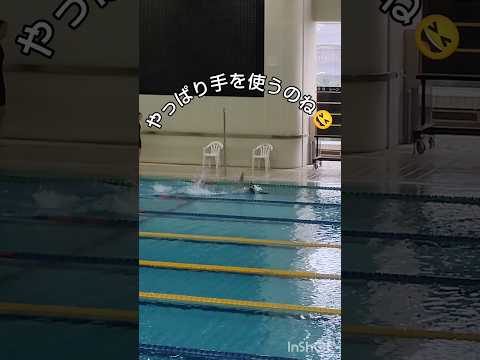 園芸 スイミングプールで