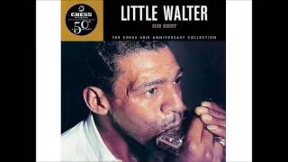 Little Walter - Hate To See You Go.