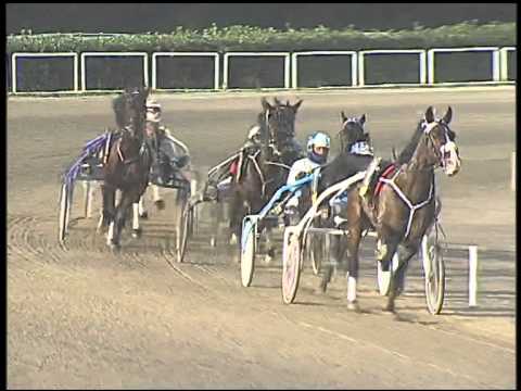 Trotto 01/03/2015 - 8° corsa