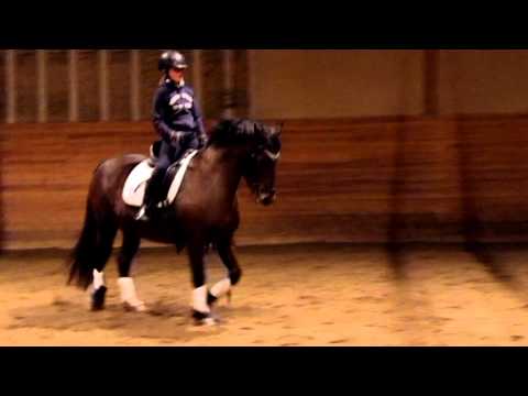 20151010 Dimmans Electra o Kajsa för Marc, vänd snett igenom