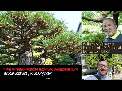 The International Bonsai Arboretum - William N  Valavanis - Summer 2021 #bonsai #internationalbonsai