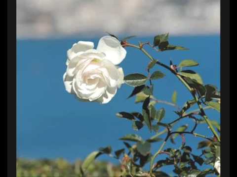 Cengiz Coskuner - Dert bende