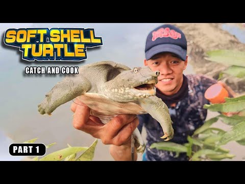 EP864-P1 - Soft Shell Turtle Catch and Cook