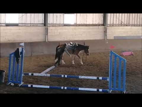 [COURS] Cours de saut Horrible (2 chutes)