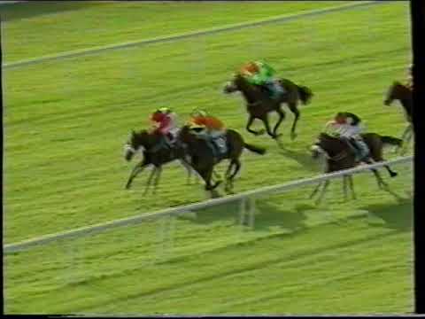 2001 - Curragh - CL Weld Park Stakes (2yo Fillies) - Red Rioja (EJ O Neill/F Berry)