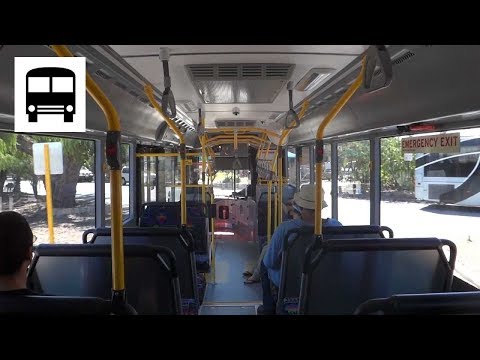 Volvo B5RH / B5RLE Hybrid - Perth Yellow CAT Bus (Part One)