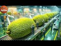 Inside The Jackfruit Factory From Fresh Jackfruit To Sweet Desserts Full Process