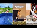 Dog Water Fails Rude Awakenings Bath Meltdowns Funniest Dog Video Compilation 5