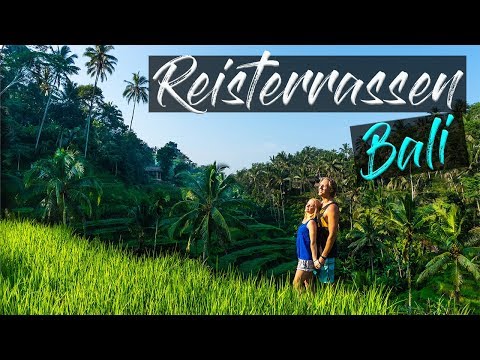 🌴Tegalalang Reisterrassen 2.0🌴 Bali/ Indonesien • Weltreise VLog #16