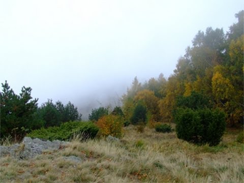 Traseu in Cozia: Manastirea Turnu - Stanisoara - Cabana Cozia - Muchia Turneanu - Manastirea Turnu