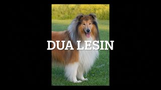 Këngë Për Fëmijë - Dua Lesin