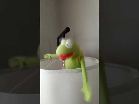 The muppet show!#shorts #kermit