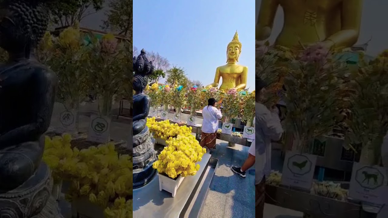 YouTube Short thumbnail