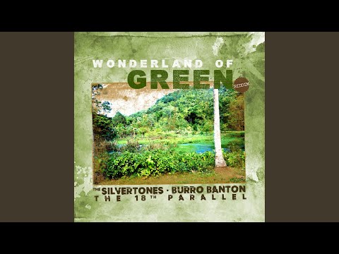 Living In a Wonderland