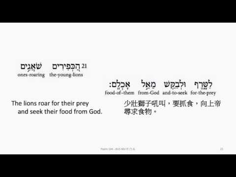 Psalm 104: Hebrew interlinear audio Bible 希伯來文聖經:詩篇第一百零四篇