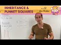 Inheritance And Punnett Squares