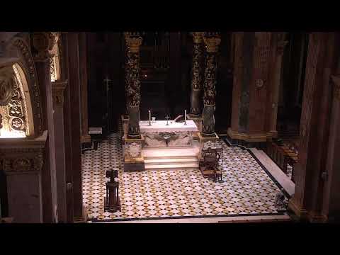 Quddiesa tal-Vġili tat-22 Ħadd ta' Matul is-Sena - 29/08/2020