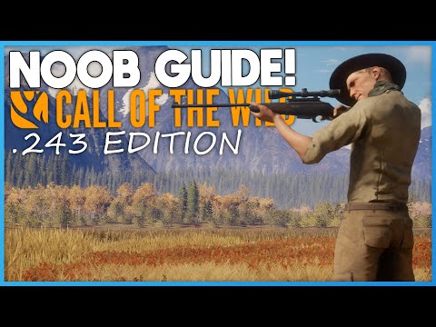 .243 Noob Guide! | theHunter: Call Of The Wild