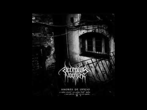 Acceptus Noctifer - Veneno Que Me Bebe