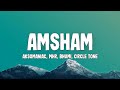 Amsham Lyrics Aksomaniac MHR Bhumi Circle Tone