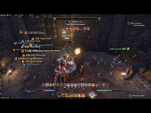 ESO - Rage of the Serpent - Stamina Dragonknight PVE Build