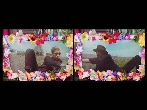 Raoul Vignal - To Bid the Dog Goodbye [OFFICIAL VIDEO]