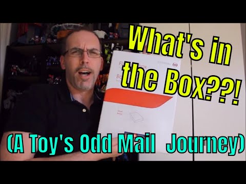 What's in the Box? (An Odd Mail Journey) - GotBot True Review NUMBER 546