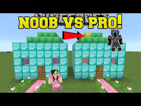 Minecraft: NOOB VS PRO!!! - SPOT THE DIFFERENCE!! - Mini-Game