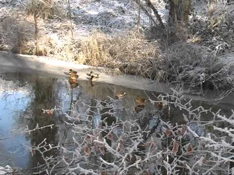 LANDGOED TWICKEL BEDOLVEN ONDER EEN DIK PAK SNEEUW
