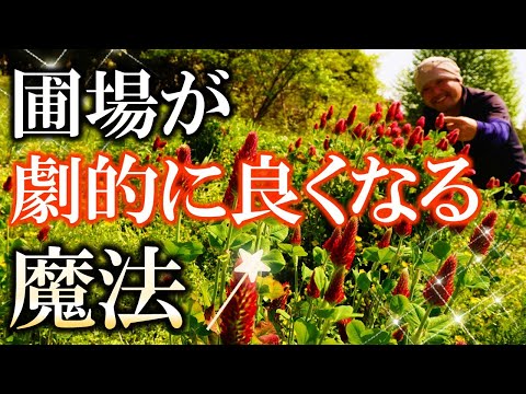 秋に蒔く緑肥は何ですか？当店TOP3をお届けします！  庭園