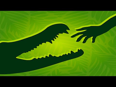 Zoo - Happy Animals - Gameplay Walkthrough - All Levels (IOS, Android)