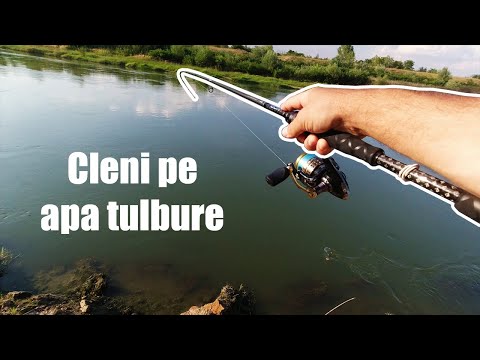 Am revenit pe Arges in cautarea CLENILOR