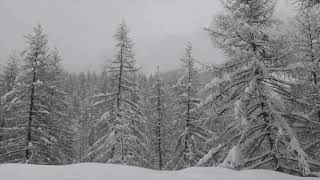 La neige instaure le silence