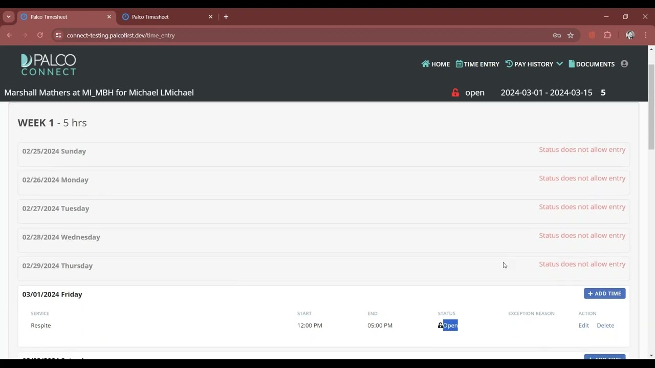 Time Entry - Palco Connect