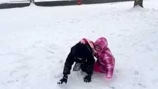 Snow day!  Blizzard of 2015... "Never forget"