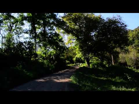 Coșteiu De Sus. Valea Popii