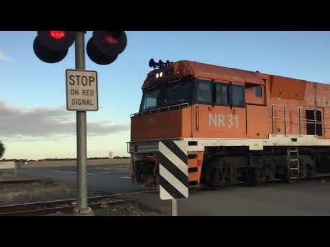6AB6 NR31(GS) NR30(GS) 8183 pass Mallala