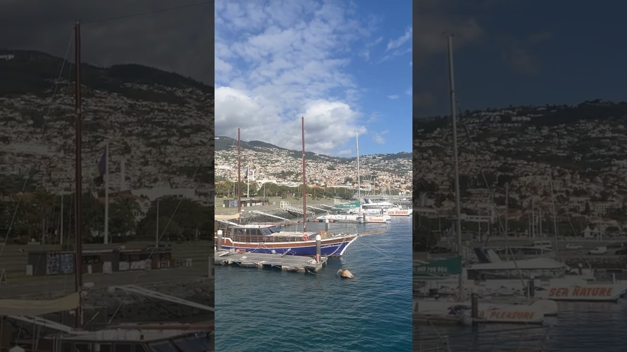 YouTube Short thumbnail