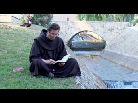 Vjera i bojažljivost (prof. dr. sc. fra Ante Vučković)