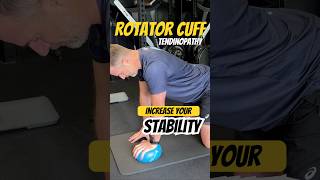 STABILITY EXERCISE FOR ROTATOR CUFF TENDINOPATHIES