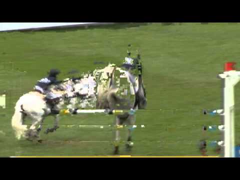 Harry Wins 138 Championship