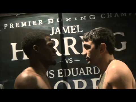 Herring  Flores Weigh in 020816