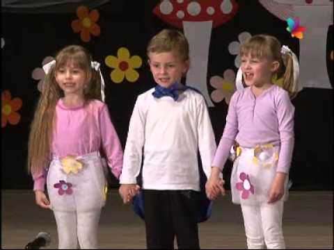 Propaganda TVM i Siroki plan 6 april 2014